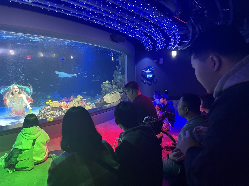 5d986ede1e79f201927f472608205d57_1742294761_8797.jpg